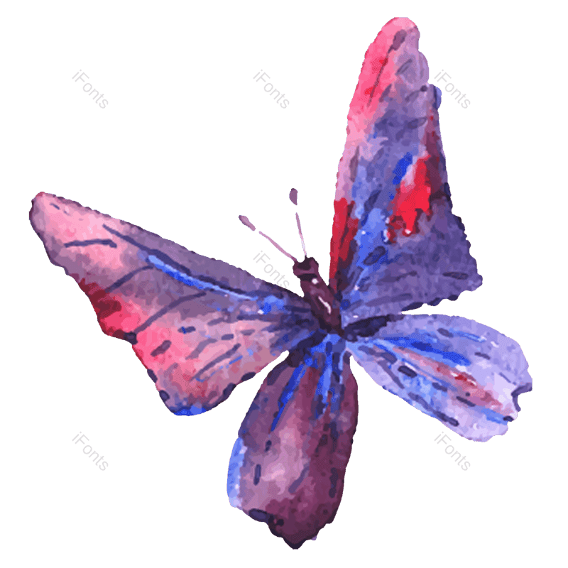 蝴蝶图片,蝴蝶花纹元素,动物PNG,矢量元素免抠素材
